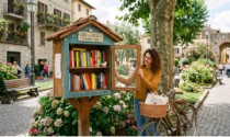 Casette per scambio libri