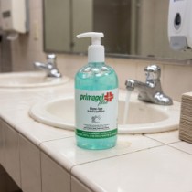 Igienizzante e  disinfettante per le mani