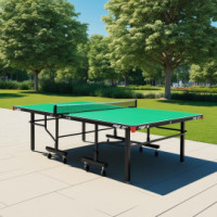 Tavoli ping pong