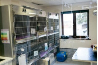 Veterinaria