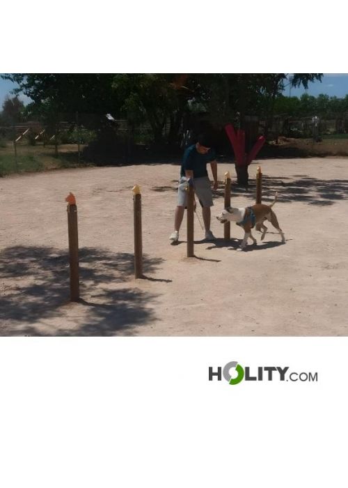 Set Slalom Agility Per Cani - 16 Aste Con Borsa Trasporto - Per Allenamento Fitness E Concentrazione