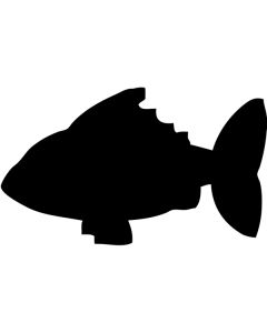 lavagna-a-forma-di-pesce-adesiva-h14848