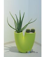 vaso-di-design-h31601