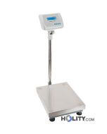 bilancia-professionale-elettronica-h15217