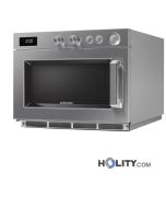 forno-a-microonde-professionale-h220144