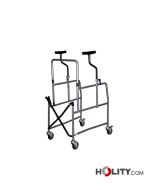 deambulatore-per-anziani-h23046