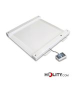 bilancia-professionale-per-disabili-h585_34
