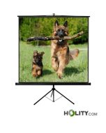 portable-projection-screen-h825_01
