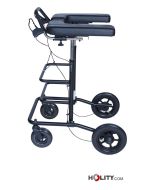 deambulatore-da-esterno-per-anziani-e-disabili-h917_19