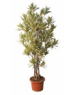 dracaena-reflexa-boschetto-artificiale-h9307