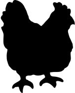 lavagna-a-forma-di-gallina-adesiva-h14842