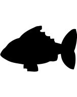 lavagna-a-forma-di-pesce-adesiva-h14848
