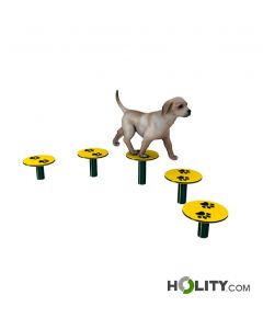 percorso-per-agility-dog-h521-32