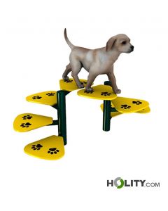 scala-per-percorso-agility-dog-h521_35