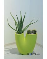 vaso-di-design-h31601