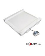 bilancia-professionale-per-disabili-h585_34