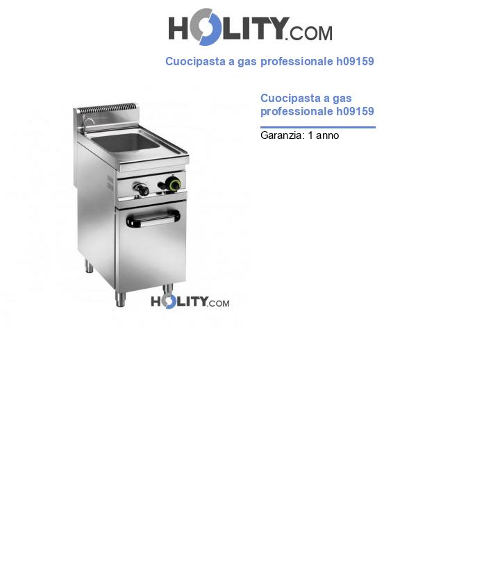 Cuocipasta a gas professionale h09159
