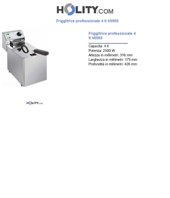 Friggitrice professionale 4 lt h0965