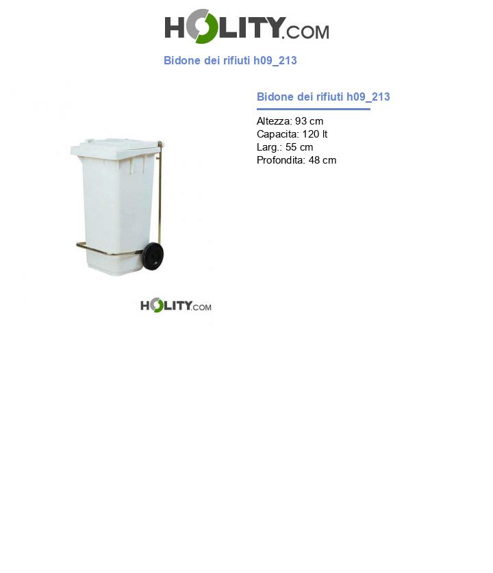 Bidone dei rifiuti h09_213