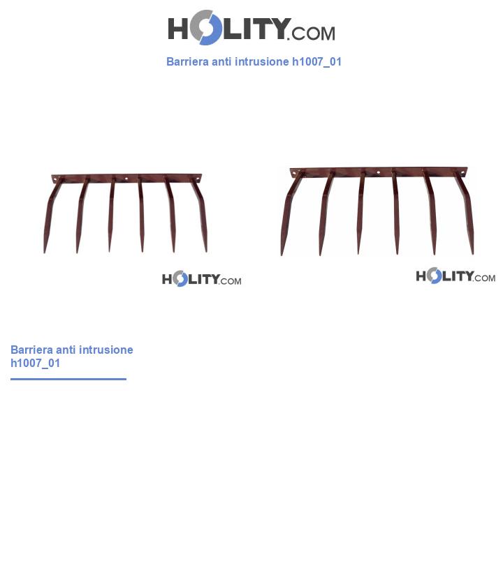 Barriera anti intrusione h1007_01