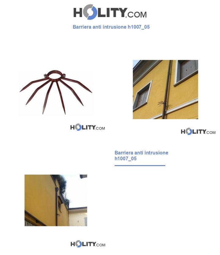 Barriera anti intrusione h1007_05
