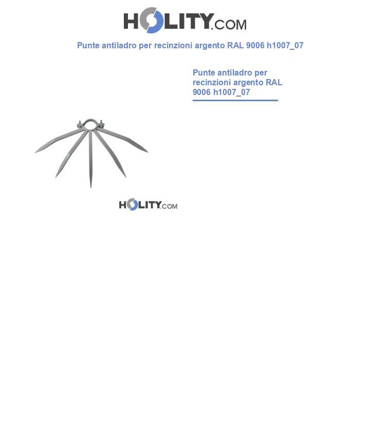 Punte antiladro per recinzioni argento RAL 9006 h1007_07