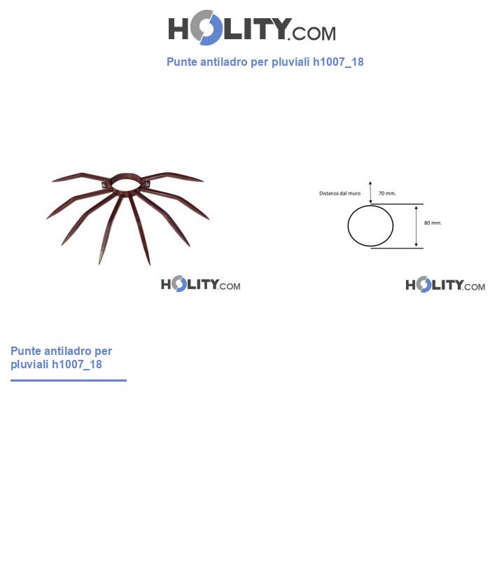 Punte antiladro per pluviali h1007_18