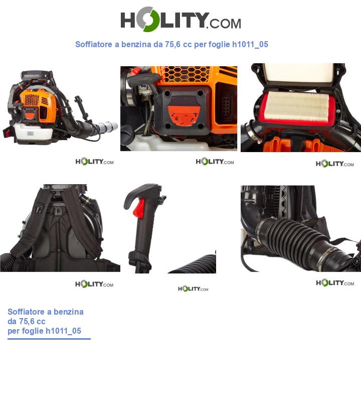 Soffiatore a benzina da 75,6 cc per foglie h1011_05