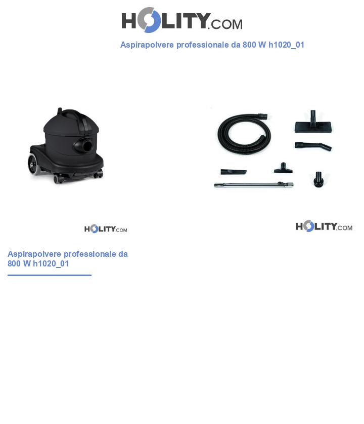 Aspirapolvere professionale da 800 W h1020_01