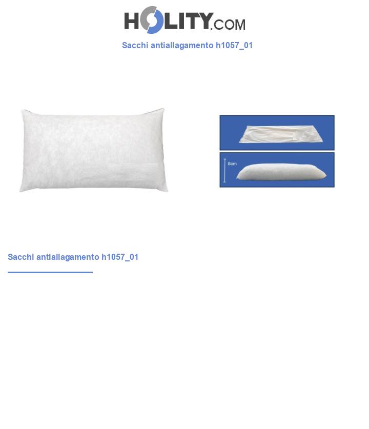 Sacchi antiallagamento h1057_01