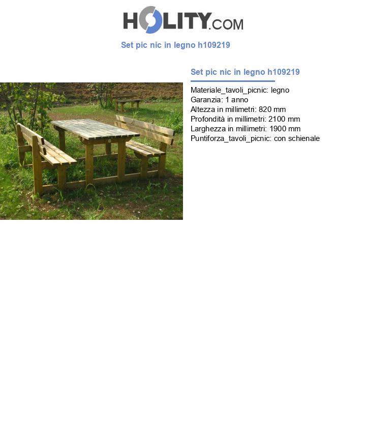 Set pic nic in legno h109219