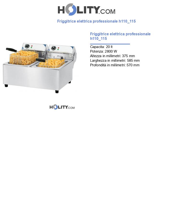 Friggitrice elettrica professionale h110_115