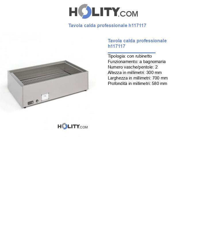 Tavola calda professionale h117117