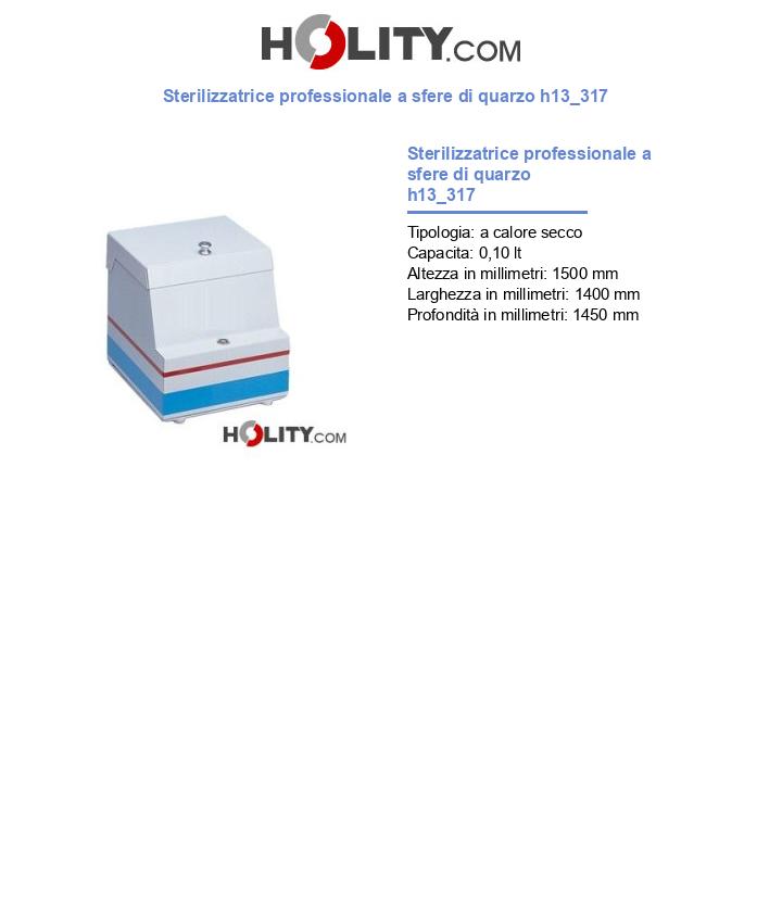 Sterilizzatrice professionale a sfere di quarzo h13_317