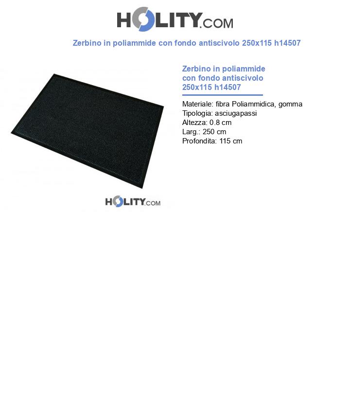 Zerbino in poliammide con fondo antiscivolo 250x115 h14507