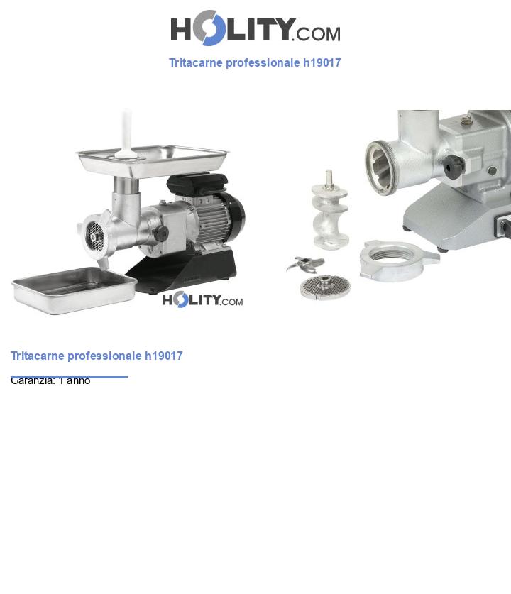 Tritacarne professionale h19017
