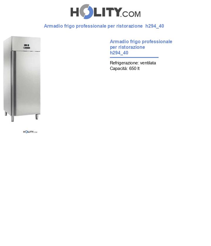 Armadio frigo professionale per ristorazione  h294_40
