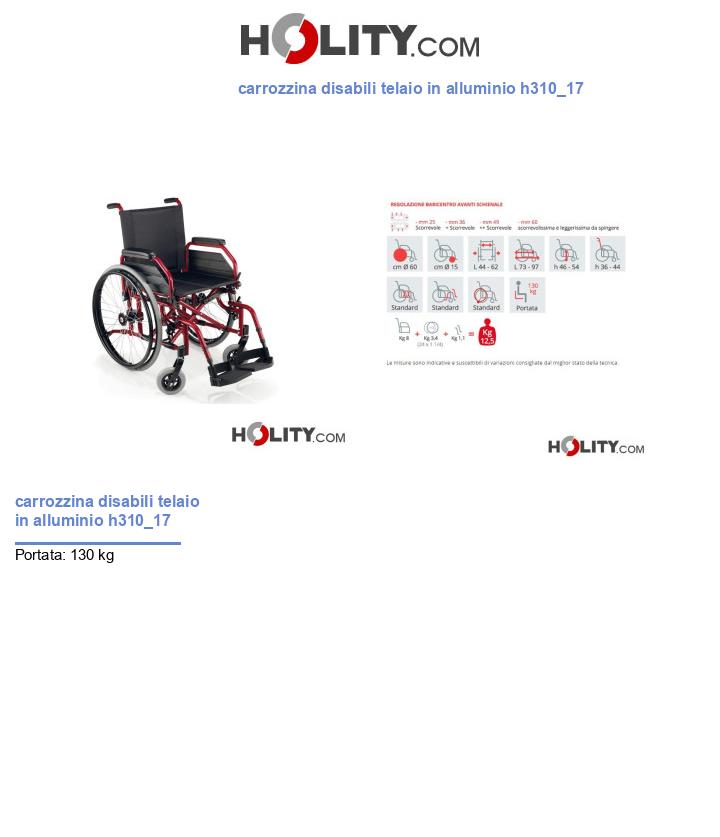 carrozzina disabili telaio in alluminio h310_17