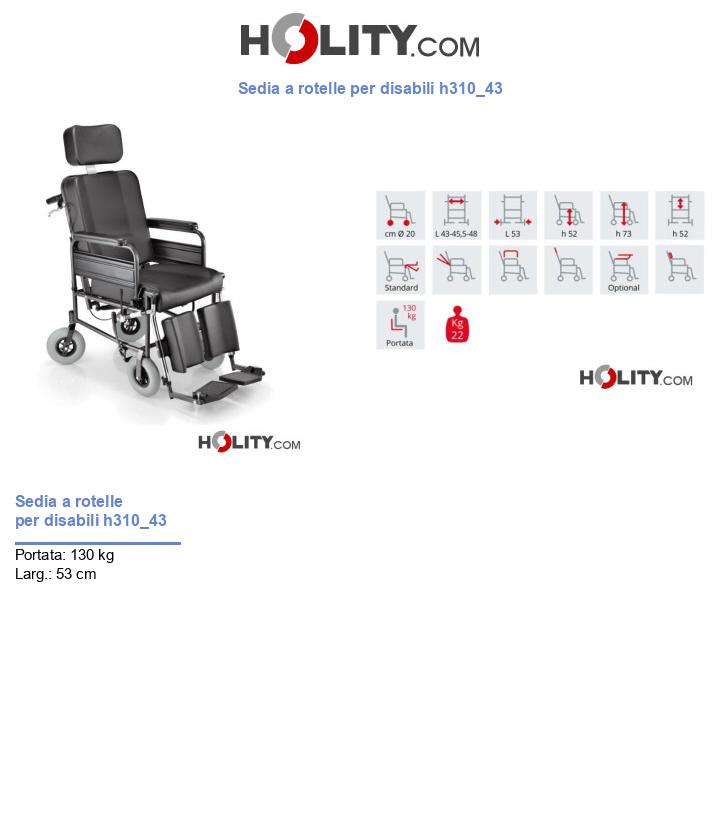 Sedia a rotelle per disabili h310_43