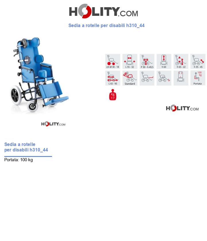 Sedia a rotelle per disabili h310_44