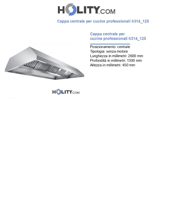 Cappa centrale per cucine professionali h314_125