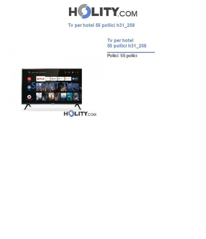 Tv per hotel 55 pollici h31_258