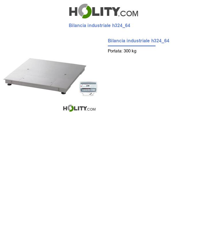 Bilancia industriale h324_64