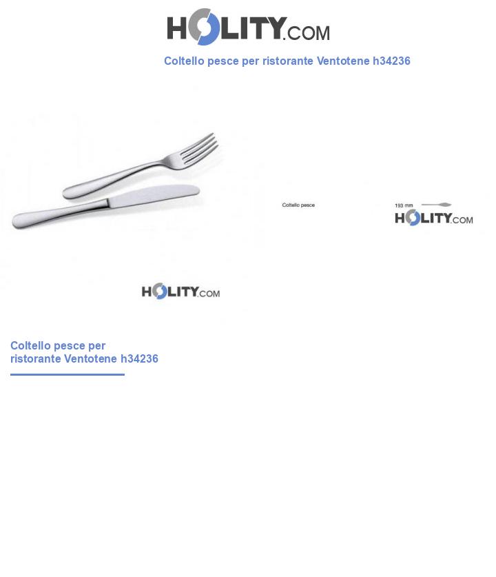 Coltello pesce per ristorante Ventotene h34236