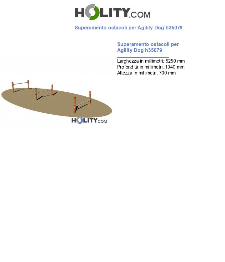 Superamento ostacoli per Agility Dog h35079