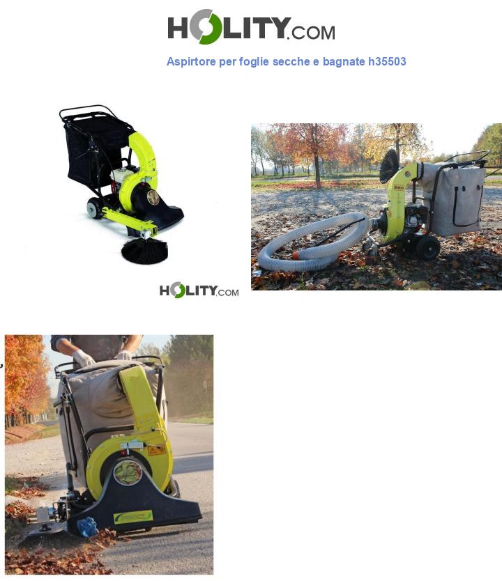 Aspirtore per foglie secche e bagnate h35503