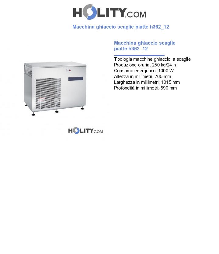 Macchina ghiaccio scaglie piatte h362_12