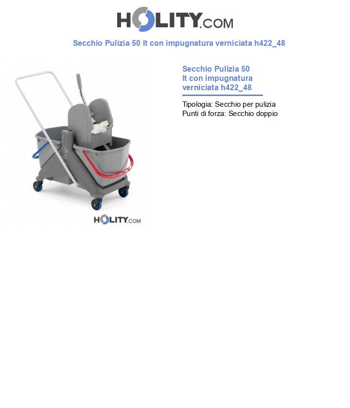 Secchio Pulizia 50 lt con impugnatura verniciata h422_48