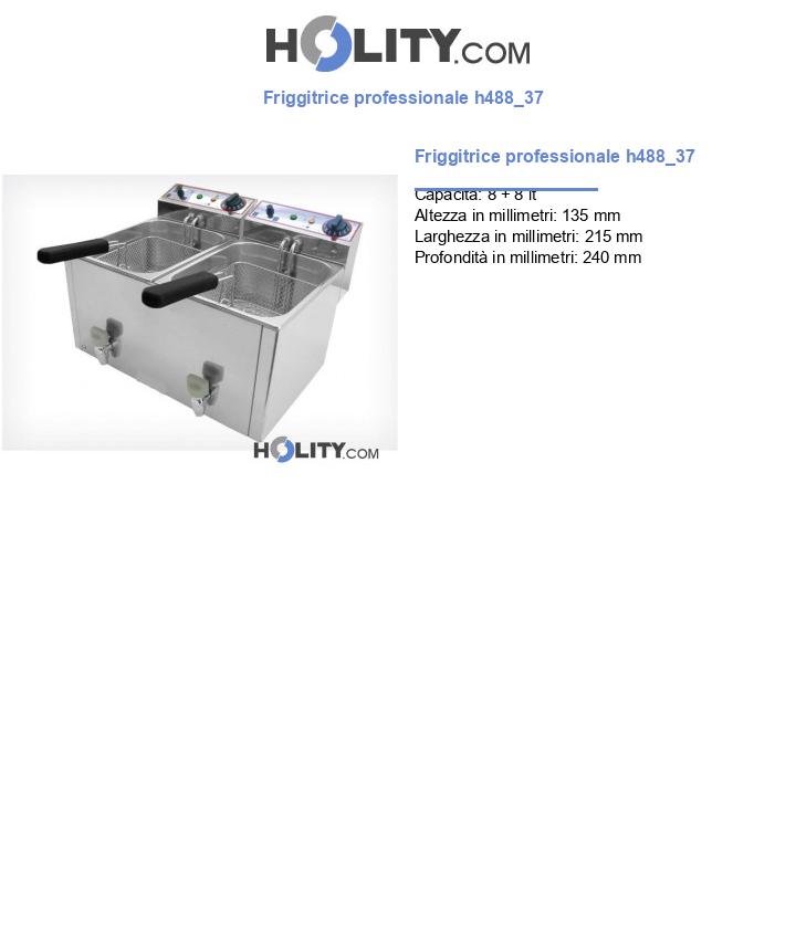 Friggitrice professionale h488_37