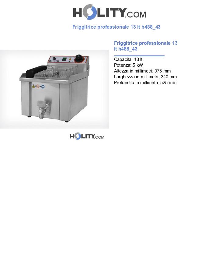 Friggitrice professionale 13 lt h488_43